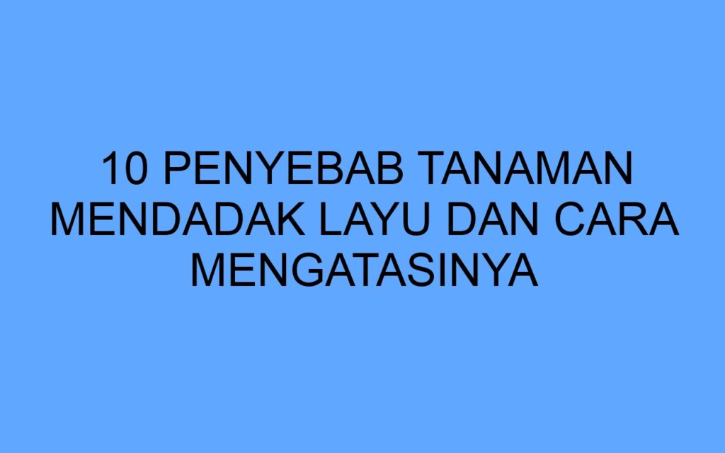 Layu In English 10 Penyebab Tanaman Mendadak Layu dan Cara Mengatasinya